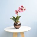 Ver imagem 1 de Arranjo de Orquídea Rosa 3D no Vaso Bronze Pequeno | Linha Permanente Formosinha
