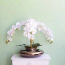 Ver imagem 3 de Arranjo de Flores Artificiais | Orquídeas Brancas Artificial no Vaso Terrário Bronze