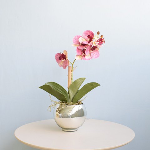 Arranjo de Orquídea Rosa 3D no Vaso Prateado | Linha Permanente Formosinha