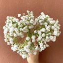Ver imagem 2 de Buquê Artificial de Mosquitinho Branco | Linha Permanente Formosinha