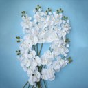 Ver imagem 1 de Kit 12 Orquídeas Artificiais Brancas Aveludadas 95cm - M