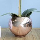 Ver imagem 3 de Arranjo de Orquídea Artificial 3D Tigre No Vaso Rose Gold | Linha Permanente Formosinha