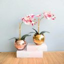 Ver imagem 5 de Arranjo de Orquídea Artificial 3D Tigre No Vaso Rose Gold | Linha Permanente Formosinha