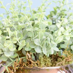 Arranjo de Folhagem Artificial No Vaso Bronze Pequeno|Linha Permanente Formosinha - 4 Arranjo de Folhagem Artificial No Vaso Bronze Pequeno|Linha Permanente Formosinha - 4