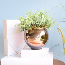 Arranjo de Folhagem Artificial No Vaso Bronze Pequeno|Linha Permanente Formosinha - 1 Arranjo de Folhagem Artificial No Vaso Bronze Pequeno|Linha Permanente Formosinha - 1