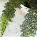 Ver imagem 5 de Arranjo Artificial com Seis Hastes de Orquídeas Rosa no Vaso Rose Gold