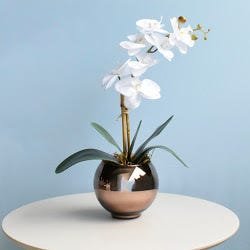 Arranjo de Orquídea Artificial Branca no Vaso Bronze