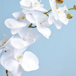 Arranjo de Orquídea Artificial Branca no Vaso Bronze - 3
