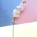 Ver imagem 1 de Flores Artificiais Haste de Orquídea Grande Branca | Linha Permanentes Formosinha