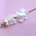 Ver imagem 2 de Flores Artificiais Haste de Orquídea Grande Branca | Linha Permanentes Formosinha