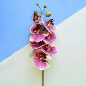 Flores artificiais Haste de Orquídea Rosa 3D |Linha permanente Formosinha