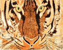 Ver imagem 1 de Tapete Rayza Epic Art Tigre 2.00m X 2.50m