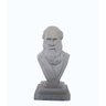 Gênios da Ciência - Busto de Charles Darwin - Pinte Você Mesmo - 1