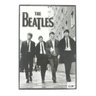 Quadro The Beatles 30x40 cm. - 1