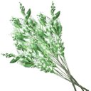 Ver imagem 1 de 8 Ramos Decoração Arranjo Planta Artificial 5 Galhos Cada 40cm