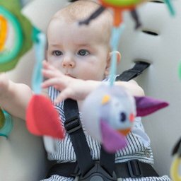 Arco Móbile Para Carrinho Nature Stroll Into The Forest - 5