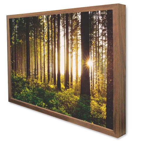 Quadro Decorativo Floresta sobre a Luz do Sol em Moldura Caixa Tacolado Moldura Caixa 3cm Madeira Se