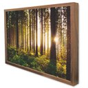 Ver imagem 3 de Quadro Decorativo Caixa Alta com Vidro Floresta Sobre a Luz do Sol TaColado Moldura Preta 90 x 60cm
