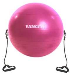 Bola Suiça 65cm Com Alças Extensores - 1