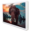 Ver imagem 2 de Quadro Decorativo Elefante na Natureza em Moldura Caixa Tacolado Moldura Trad 1cm Madeira Escura com