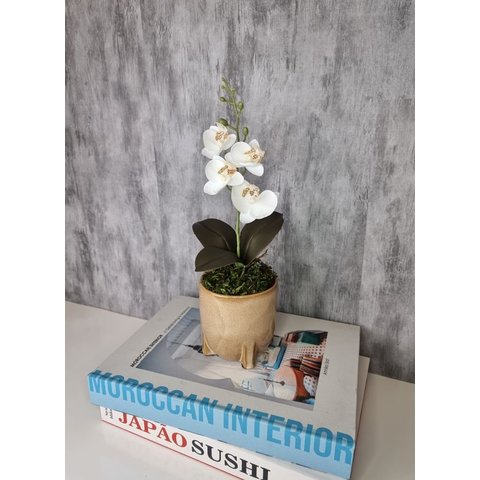 Arranjo De Mini Orquídea Branca Vaso Bege Redondo