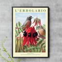 Ver imagem 1 de Quadro Flor Vermelha com Passarinho 33x24cm - com Vidro:moldura Preta