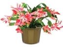 Ver imagem 2 de 06 Vasos Cachepos Tulipa 18cm Cor Ouro