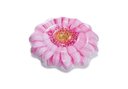 Ver imagem 3 de Intex Colchão Piscina Flor Margarida 58787
