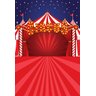 Fundo Fotográfico Tecido Circo 1,50m x 2,50m - 1