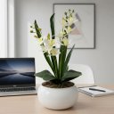 Ver imagem 1 de Arranjo Grande de Mini Orquídea Cymbidium Branca Artificial Branca