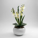 Ver imagem 4 de Arranjo Grande de Mini Orquídea Cymbidium Branca Artificial Branca