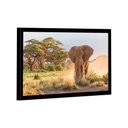 Ver imagem 1 de Quadro Elefante Savana -- Br Artes