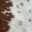 Ver imagem 4 de Tapete Sala Formato do Boi Natural - 01