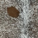 Ver imagem 4 de Tapete Sala Formato do Boi Natural - 03