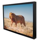 Ver imagem 3 de Quadro Decorativo Leão Selvagem em Moldura Caixa TaColado Moldura Trad 1cm Madeira Escura com Vidro 