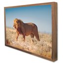 Ver imagem 4 de Quadro Decorativo Leão Selvagem em Moldura Caixa TaColado Moldura Trad 1cm Madeira Escura com Vidro 