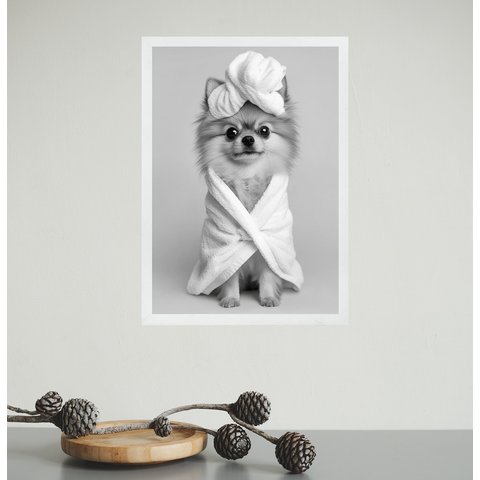 Quadro para Banheiro Cachorrinha Lulu de Roupão 45x34cm - com Vidro:moldura Preta