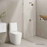 Chuveiro com Tubo de Parede Chuveiro Acqua Plus Corten Deca Cod: 1990.ct.std.mt - 3