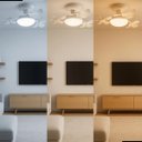 Ver imagem 4 de Ventilador de Teto Triplo Led 3 Cores E27 Bivolt 100w com Controle Remoto 3 Velocidades Silencioso B