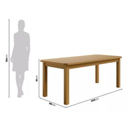 Mesa com 8 Cadeiras de Madeira 200x88 Nogueira com Estofado Marrom Nemargi - 3