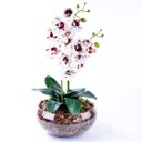 Ver imagem 1 de Arranjo de Orquídea Toque Real Deluxe