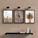 Ver imagem 2 de Kit 3 Quadros Capim Dos Pampas E Passarinho 33x24cm:Madeira branca