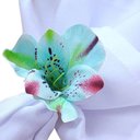 Ver imagem 5 de Kit 6 Porta Guardanapo Botão Astromelia Azul Turquesa
