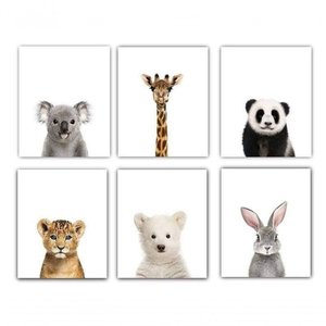 Quadro Infantil Safari 6 Un A4 Vidro e Pendurador