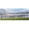 Tela Sombreamento Freshnet Termo Refletora Prata 50% - 8x20 - 5
