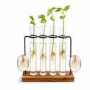 Ver imagem 5 de Kit Vasos Hidroponico Flor Ferro Base Madeira 4 Tubos Hidroponia Terrario Suporte 4 em 1 Mesa Bancad