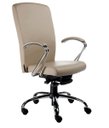 Ver imagem 1 de Cadeira Presidente Luxuosa com Braços Fixos Linha Alpha