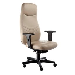 Cadeira Presidente Giratória com Braços Linha Veneza - 1