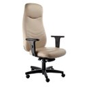 Ver imagem 1 de Cadeira Presidente Giratória com Braços Linha Veneza