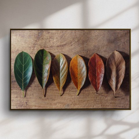 Quadro Decorativo Sequencia de Folhas
